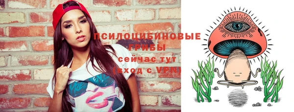 МДПВ Тында