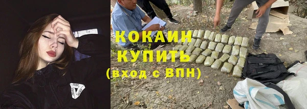 МДПВ Тында