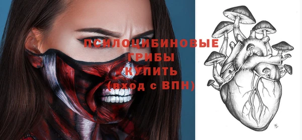 МДПВ Тында