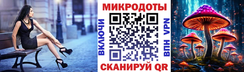 MEGA tor  Тында  Псилоцибиновые грибы Psilocybe  закладки 