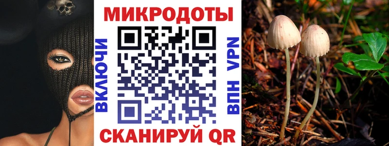 Галлюциногенные грибы ЛСД Тында