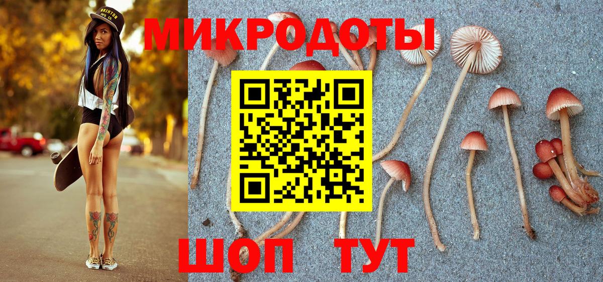 Галлюциногенные грибы Psilocybe  Вход с VPN  Тында 