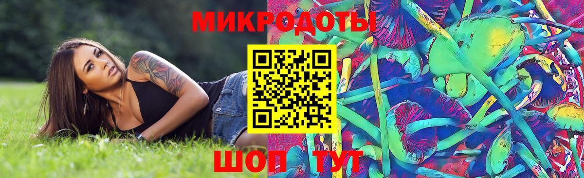 Псилоцибиновые грибы GOLDEN TEACHER Тында